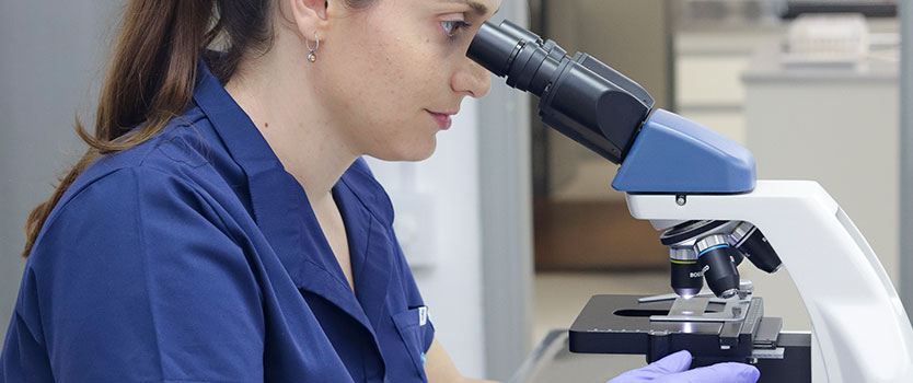 Diagnóstico molecular